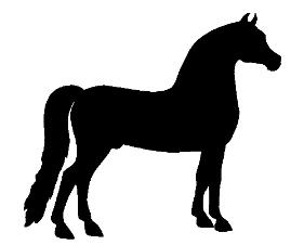 281x226 Morgan Horse Clipart