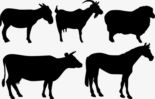 650x417 Horse And Sheep Silhouette, Horse, Cattle, Sheep Png And Vector