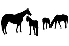 225x150 Horse Silhouette Clip Art ~ Karen's Whimsy
