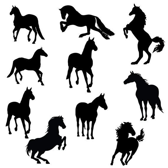 570x570 Horse Svg Silhouette Pack