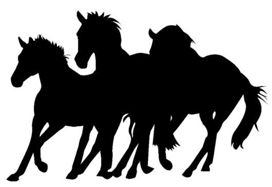 530x364 Horse Wall Decal Horse Herd Sticker Teen Room Decal Dorm