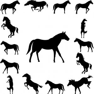300x300 Photostock Vector Set Of Wild Horses Vector Horse Collection