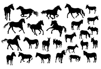 350x240 Horse Silhouette Photos, Royalty Free Images, Graphics, Vectors