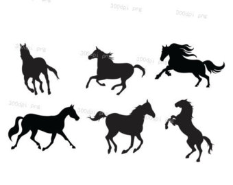 340x270 Horse Svg Silhouette, Horse Clipart, Foal Svg, Horses Vector
