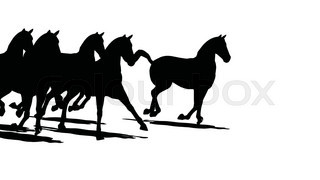 320x180 Herd Of Horses Silhouette The Top View Stock Video Colourbox