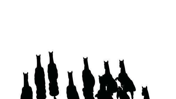 600x338 Herd Of Horses Silhouette The Top View From Helicopter , Black