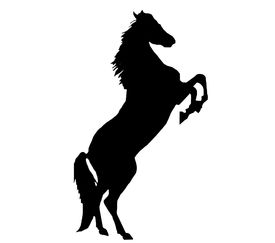 275x243 Stock Photo Of Horse Silhouette