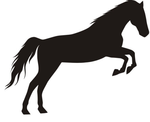 500x408 Horse Riding Clipart Paint Horse