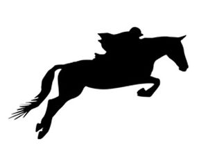 300x227 Sport Silhouette