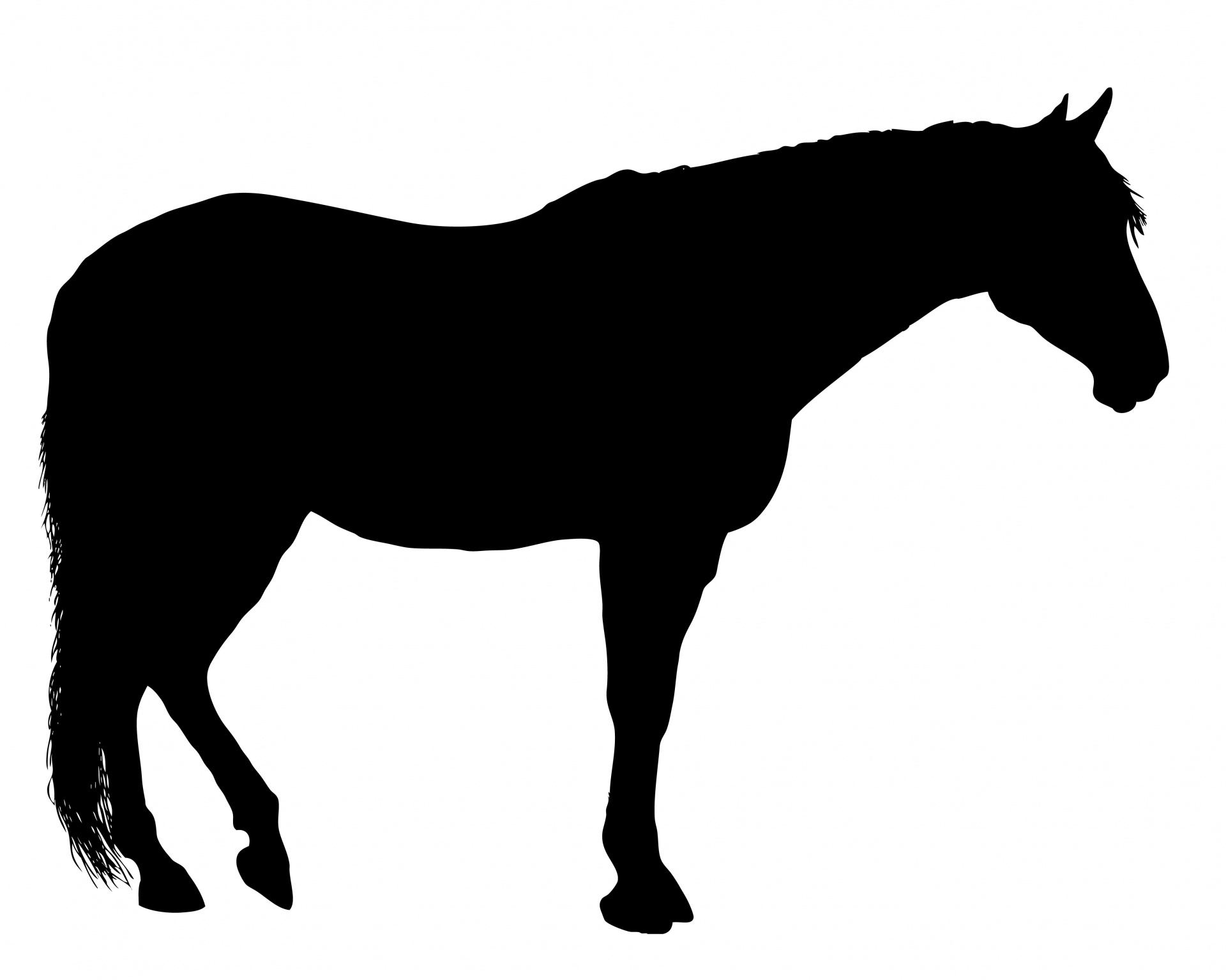 1920x1535 Horse Silhouette Free Stock Photo