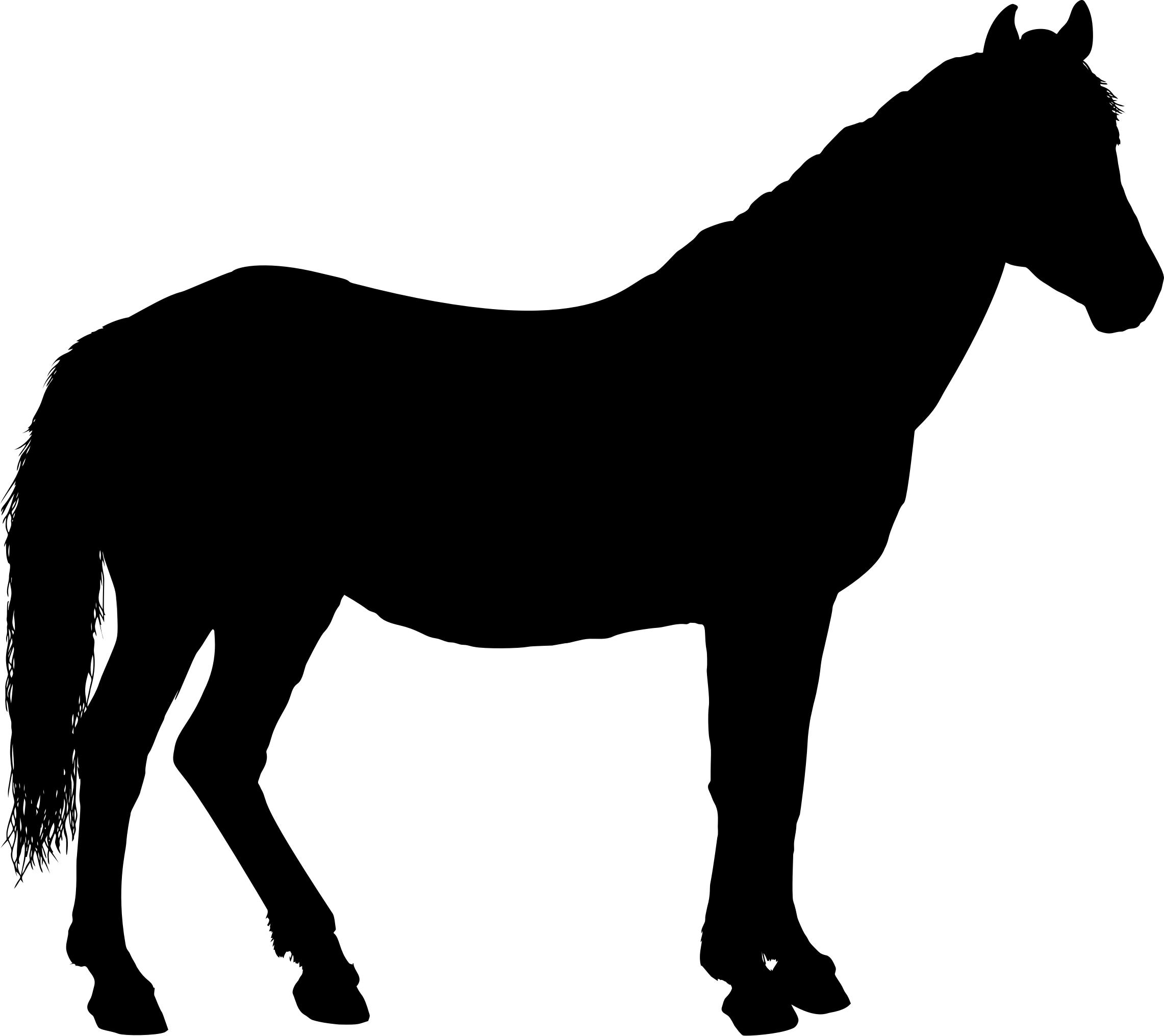 2282x2031 Horse Silhouette 3 Icons Png