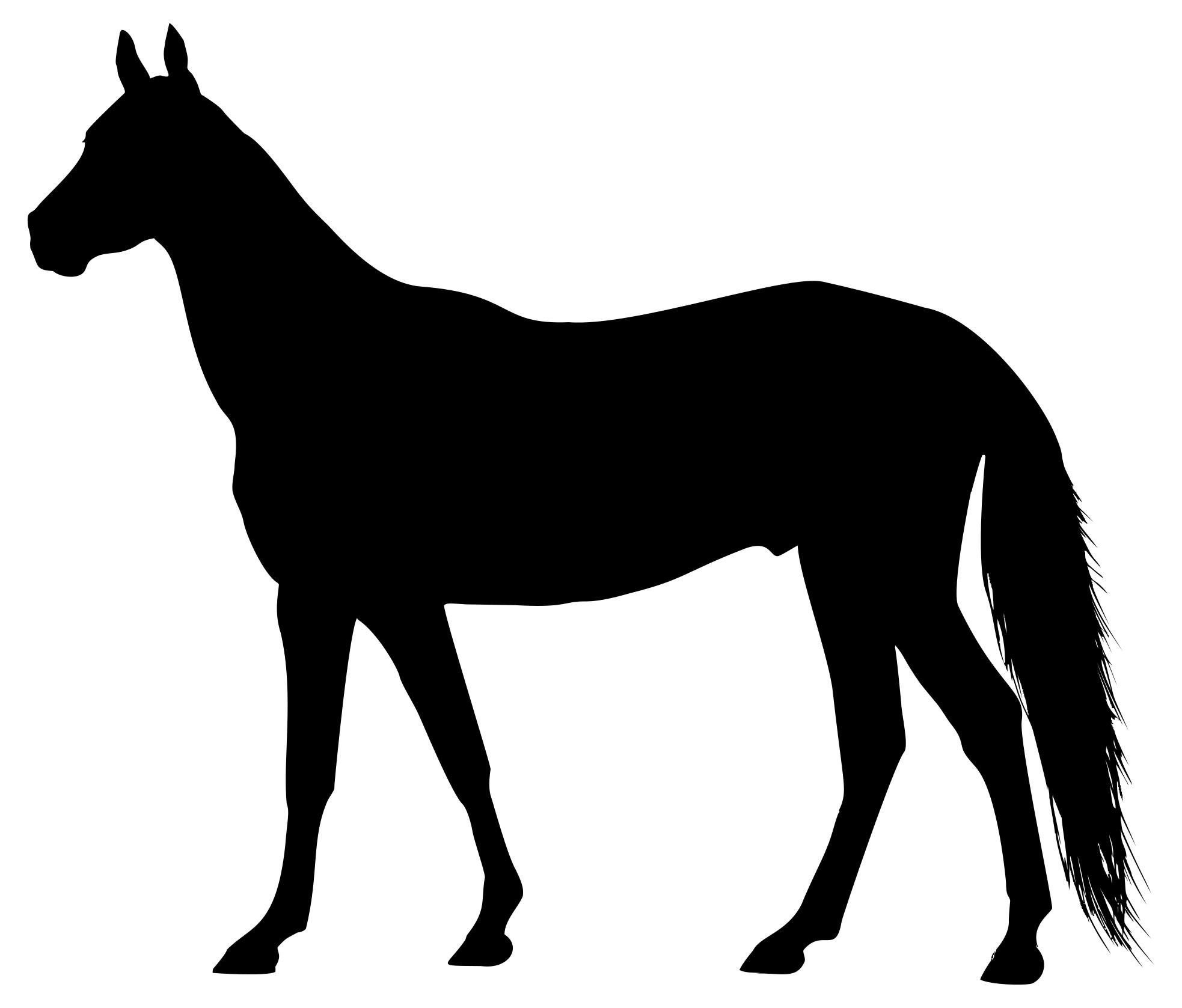 1966x1677 Left Facing Horse Silhouette Clipart
