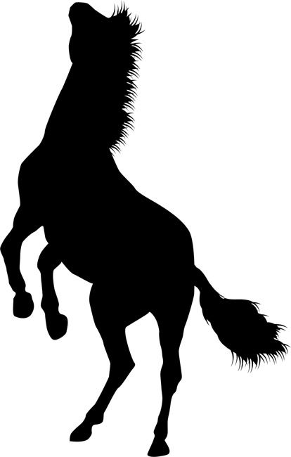 414x650 Quickly And Easily Create A Beautiful And Unique Design Anywhere