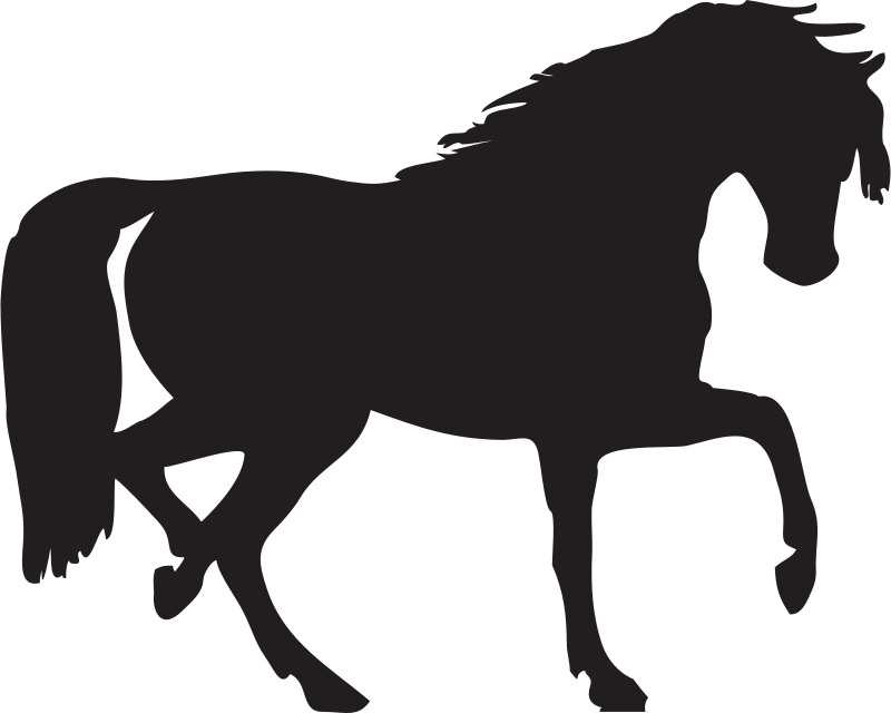 800x640 Free Horse Silhouette You Can Use To Make An Svg File Cricut