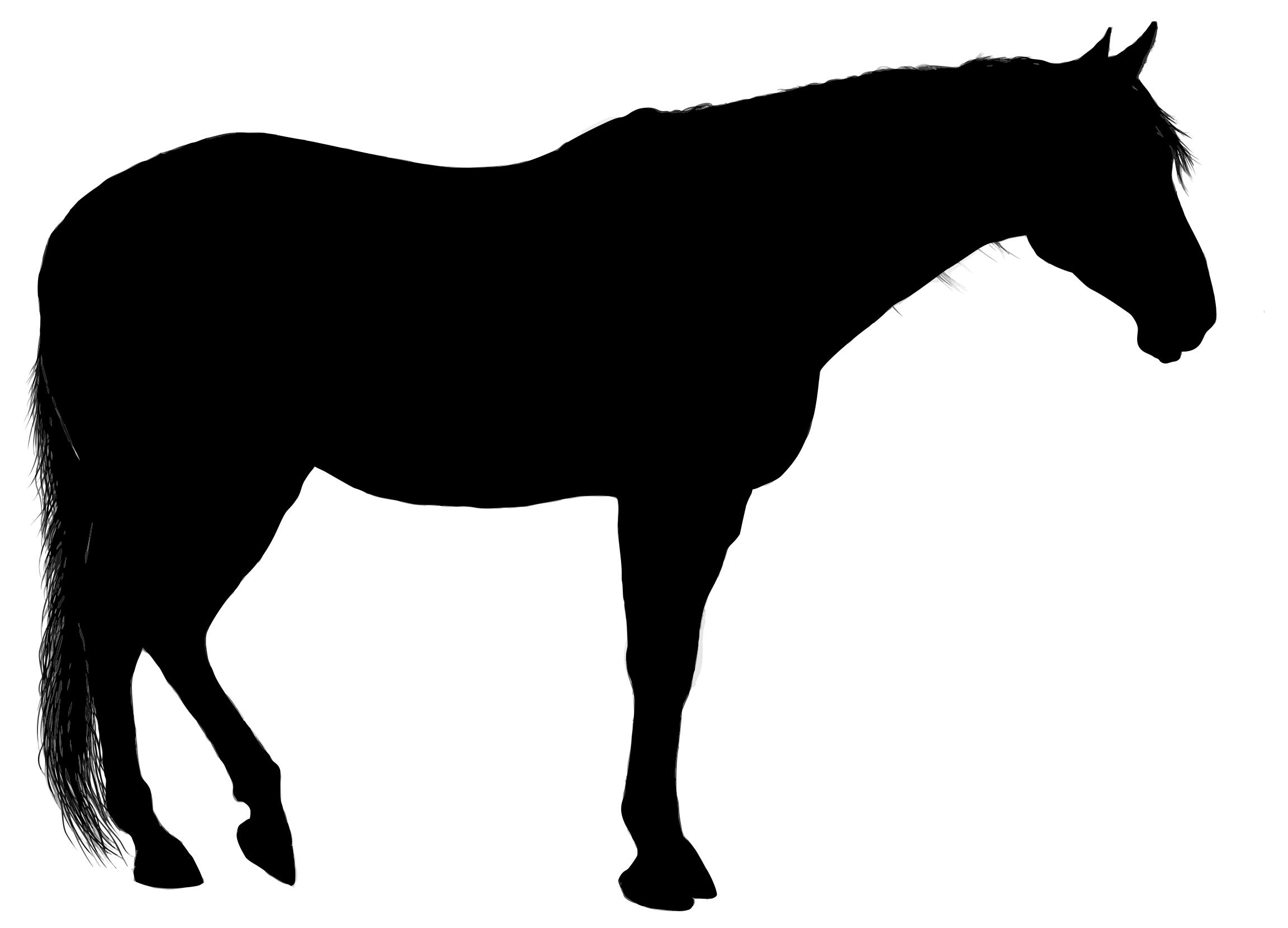 2304x1660 Standing Horse Silhouette Clipart