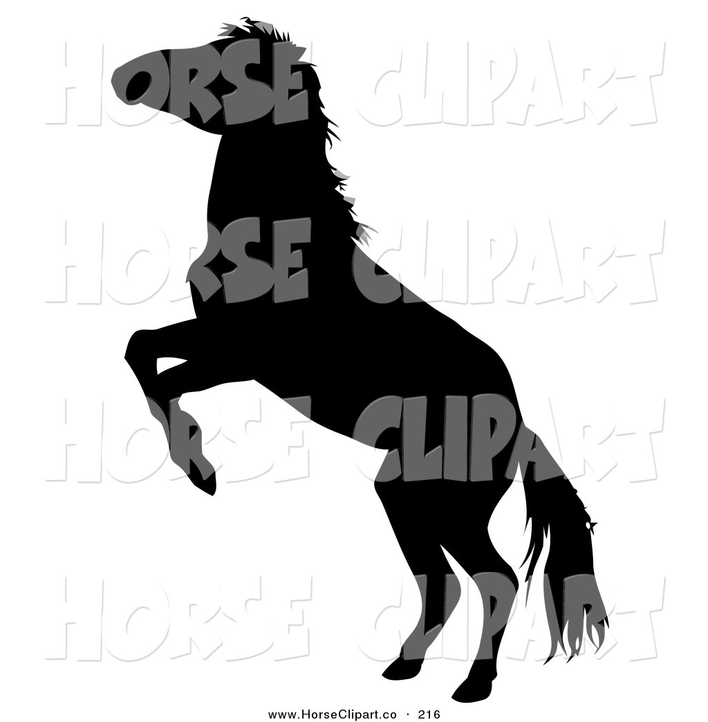 1024x1044 Horse Silhouettes