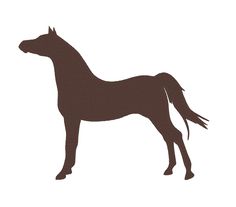 236x207 Horse Silhouette Saddlebred Fancy High Stepping Embroidery Machine