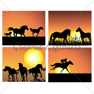 325x325 Horse On Sunset Background Gl Stock Images