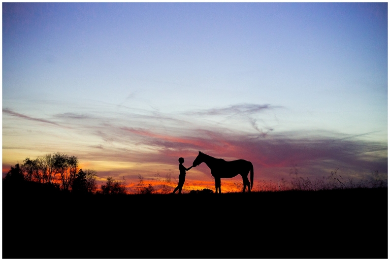 768x514 Horse Amp Rider North Carolina Equine Photography Southern Horse
