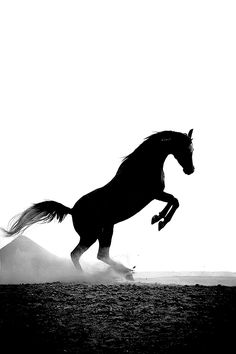 236x354 How To Travel Solo Like A Kickass Adventurer!