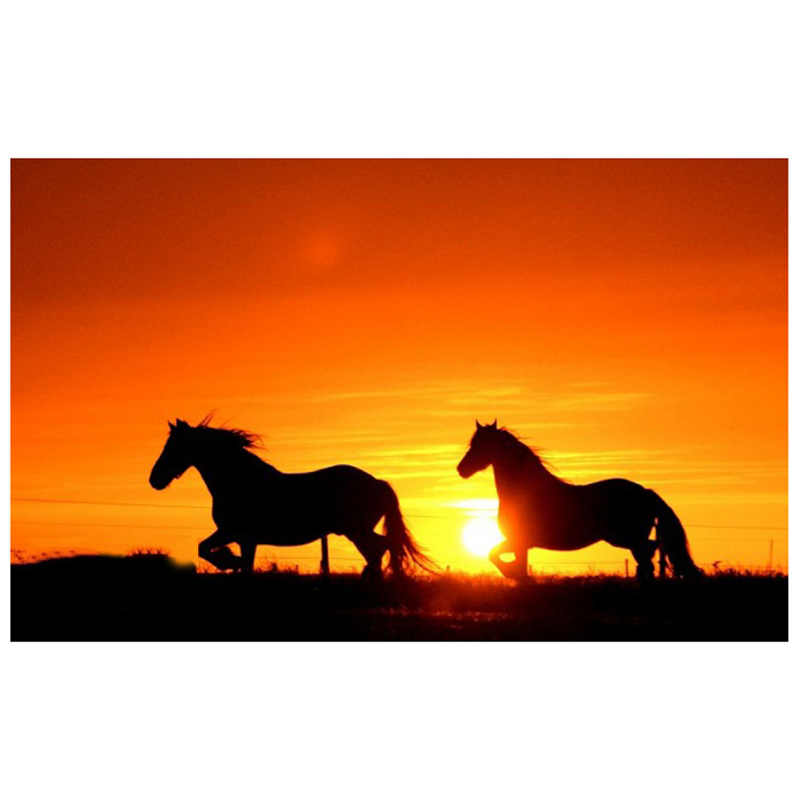 Horse Silhouette Sunset at GetDrawings | Free download