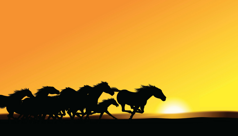 820x468 Wild Horses, Black Holes, And Original Medicine