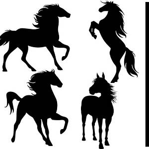 300x300 Horse Animal Svg Etsy