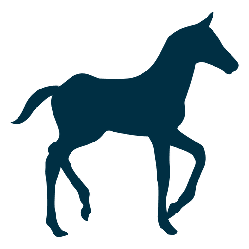 512x512 Walking Horse Silhouette