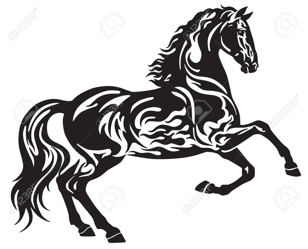 1300x1055 The Black Stallion Horse In Free Movement Side View Silhouette