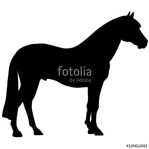 500x500 Black Horse Silhouette. Vector Animal Illustration Stock Image