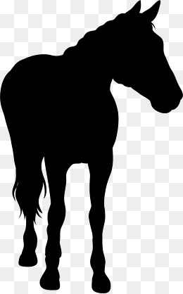 260x418 Horse Silhouette Png, Vectors, Psd, And Clipart For Free Download