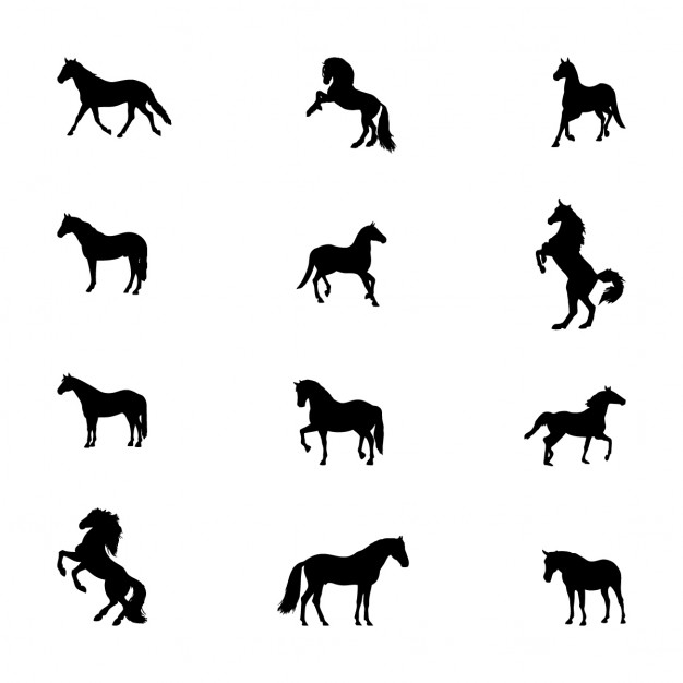 626x626 Vectors Of Horses Amp Pony Free Vector Graphics Everypixel