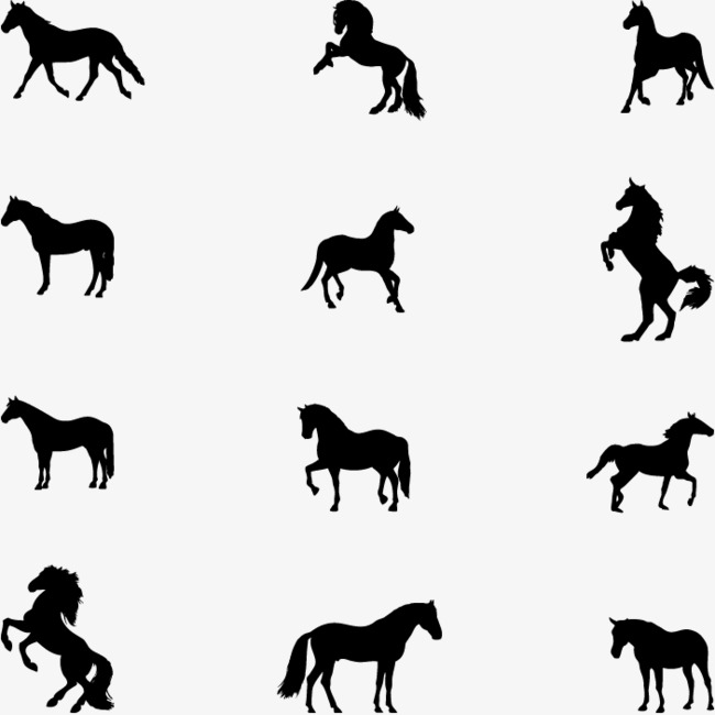 650x650 Black Horse Silhouette, Black, Horses, Sketch Png And Vector