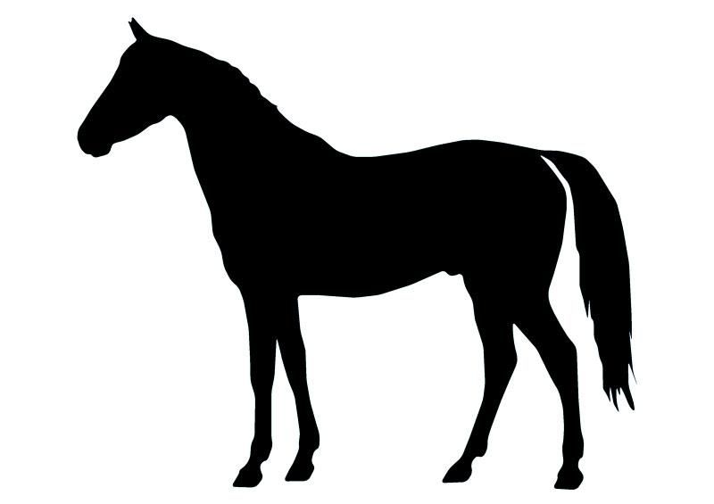 800x565 Horse Silhouette