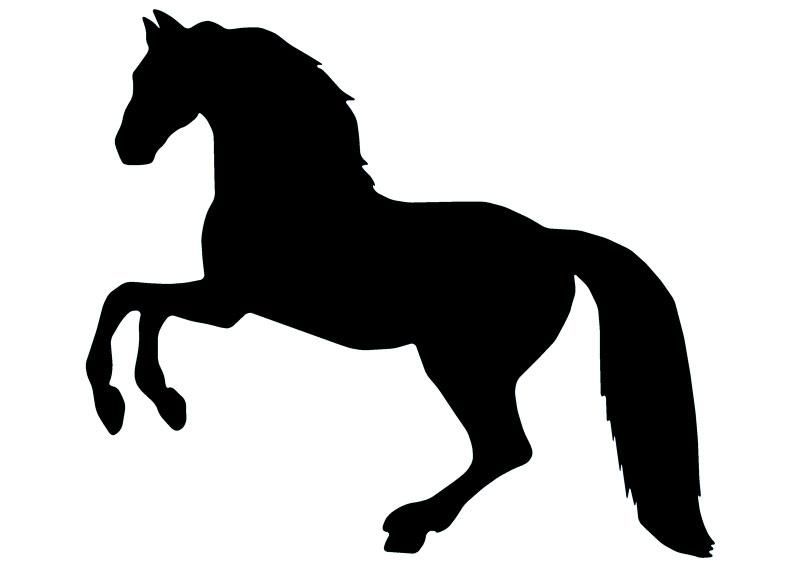 800x565 Horse Silhouette