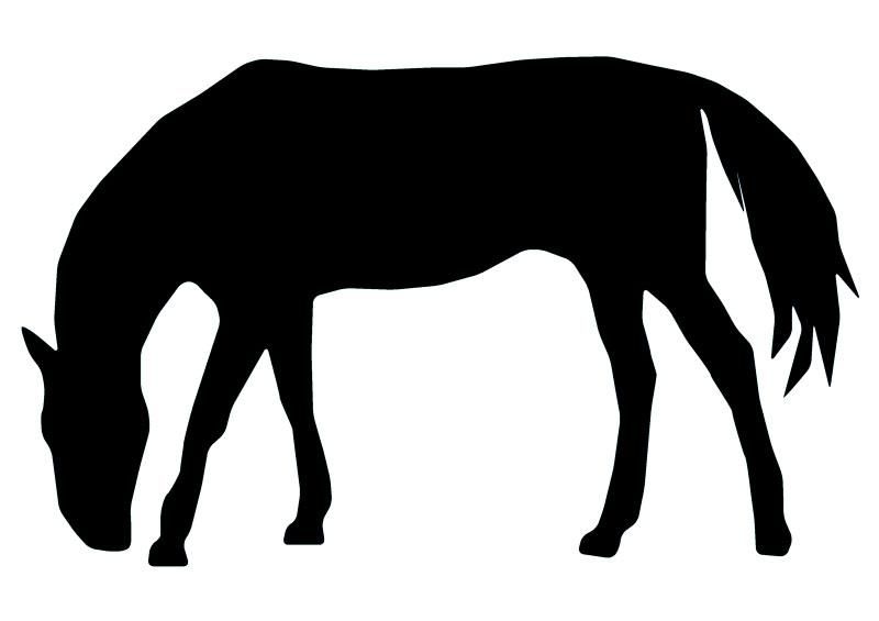 800x565 Horse Silhouette