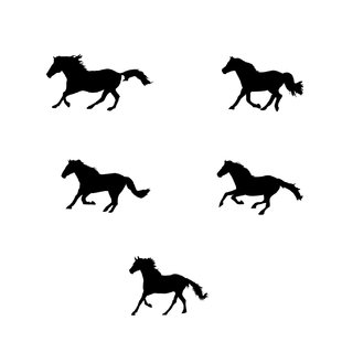 310x310 Horse Wall Decals Wayfair