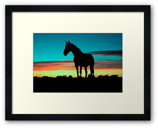 550x447 Humpy Horse Silhouette Sunset Psychedelic Framed Prints By