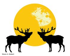 235x188 Southwestern Horse Art, Texas Sunset Photomontage, Native American