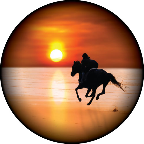 500x500 Sunset Beach Horse