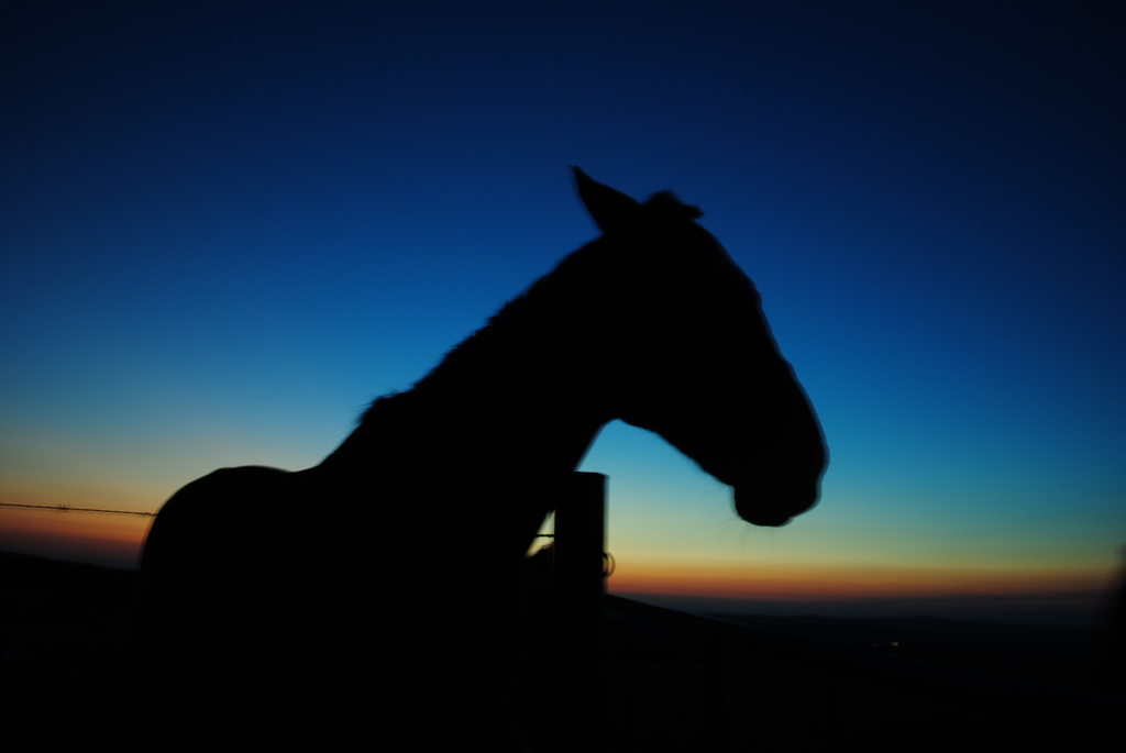 1024x685 The World's Best Photos Of Hijo And Silueta