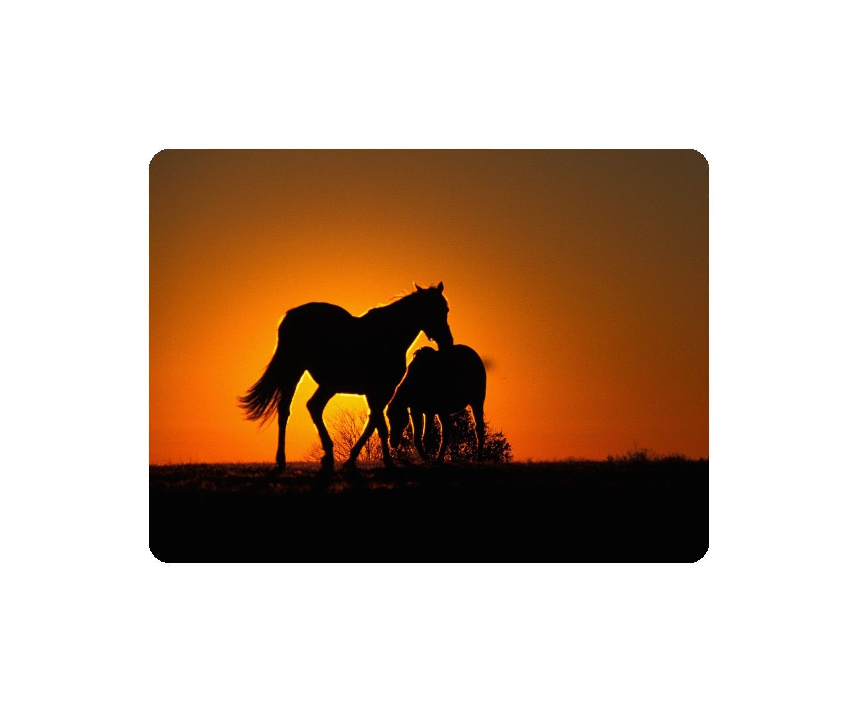 1731x1437 Beautiful Animal Mouse Pad Wild Horses Sunset Mice, Sunset