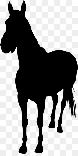 260x520 Horse Pack Animal