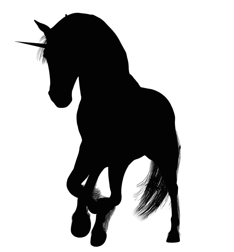 788x849 Horse Silhouette And Horse Head Silhouette, Animal Silhouette