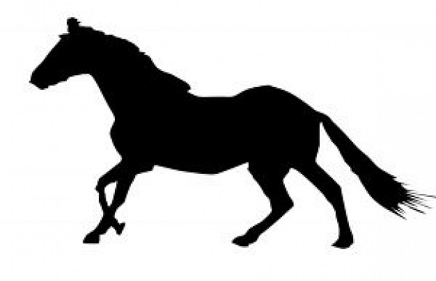 626x404 Horse Silhouette Running Photo Free Download