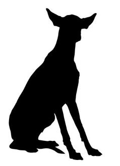 238x330 Ibizan Hound Silhouette Decal Sticker