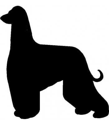 350x400 Dog Welcome Sign Breed Afghan Hound