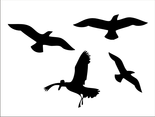 499x375 Vector Bird Silhouettes