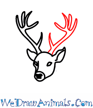 300x350 Deer 06.png