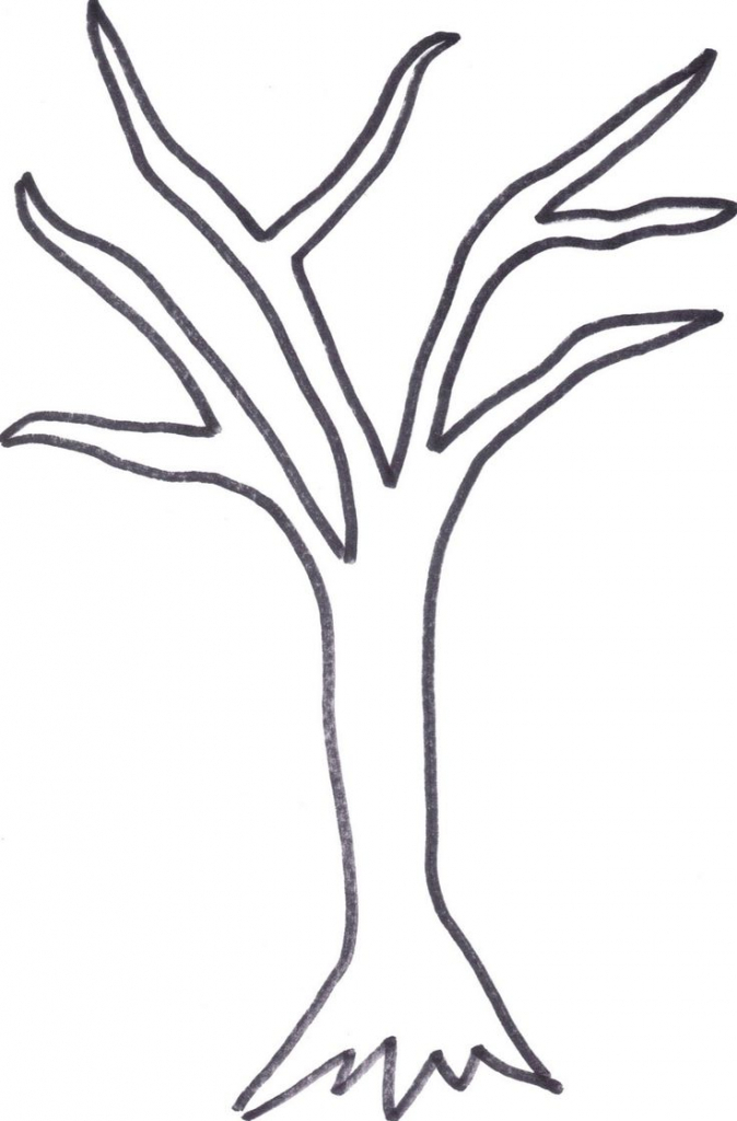 674x1024 Tree Outline Drawing Palm Tree Outline Drawings Coconut Tree Palm